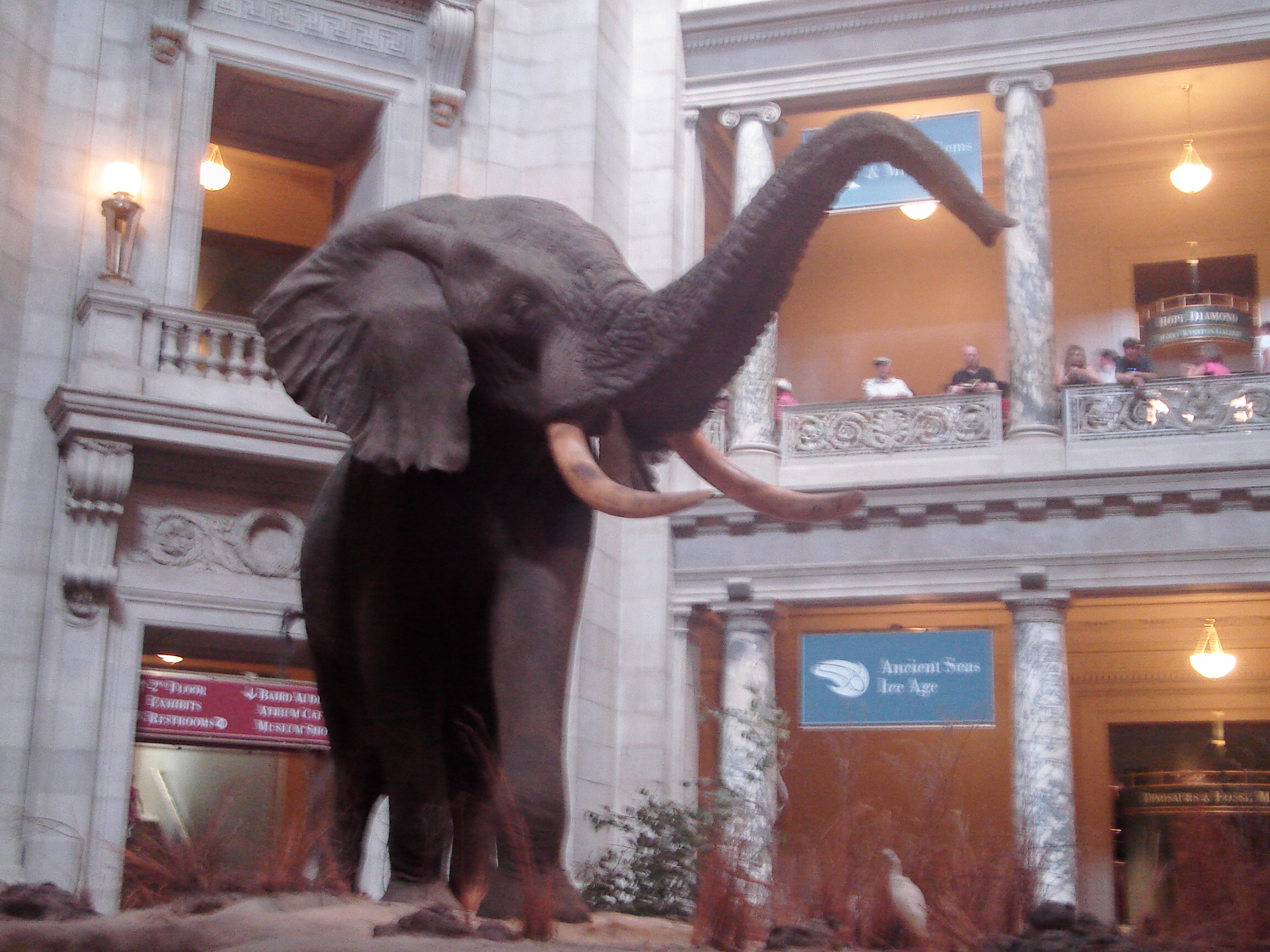 Smithsonian Institution School Tours