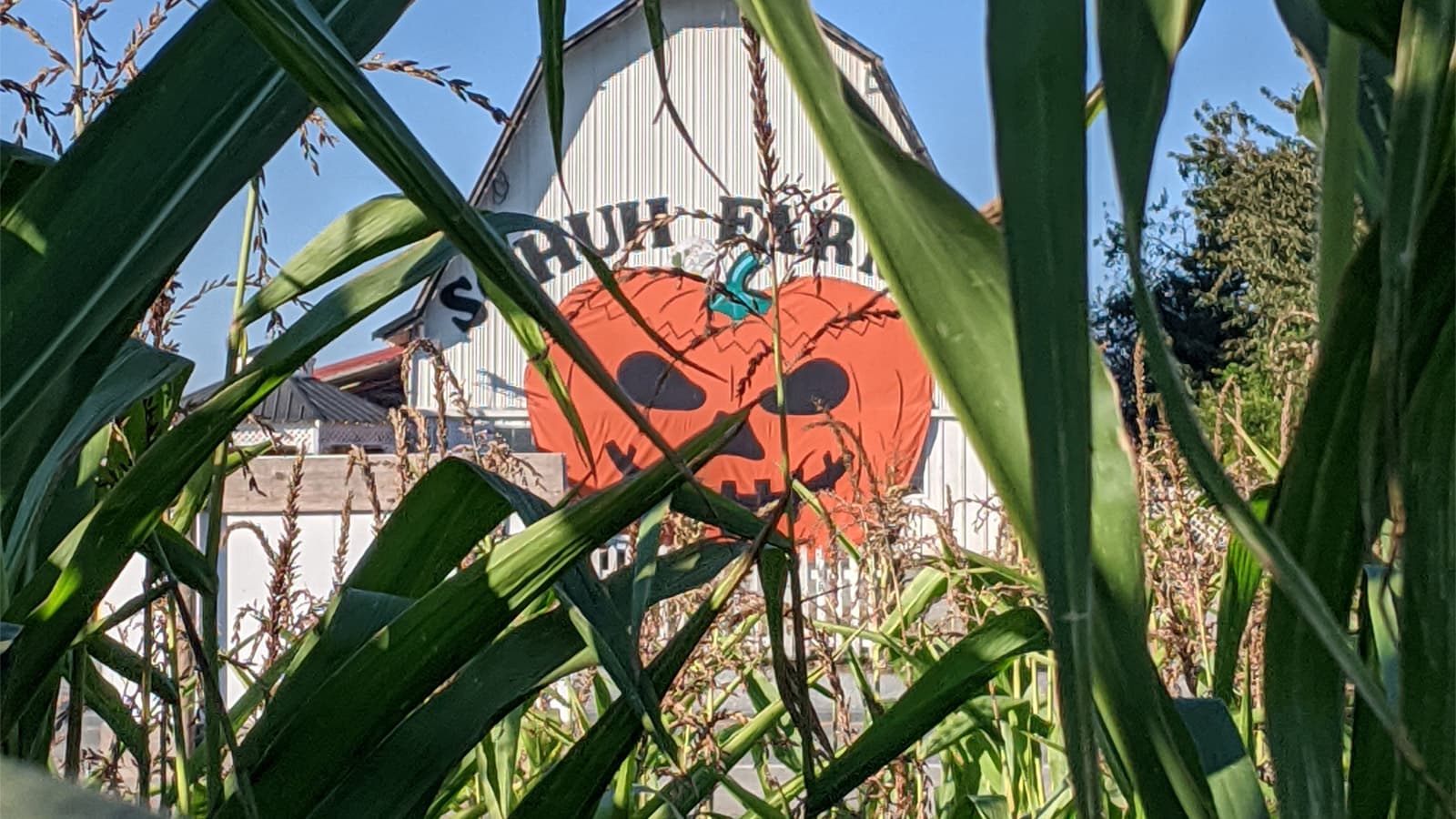 Schuh Farms Mount Vernon, WA