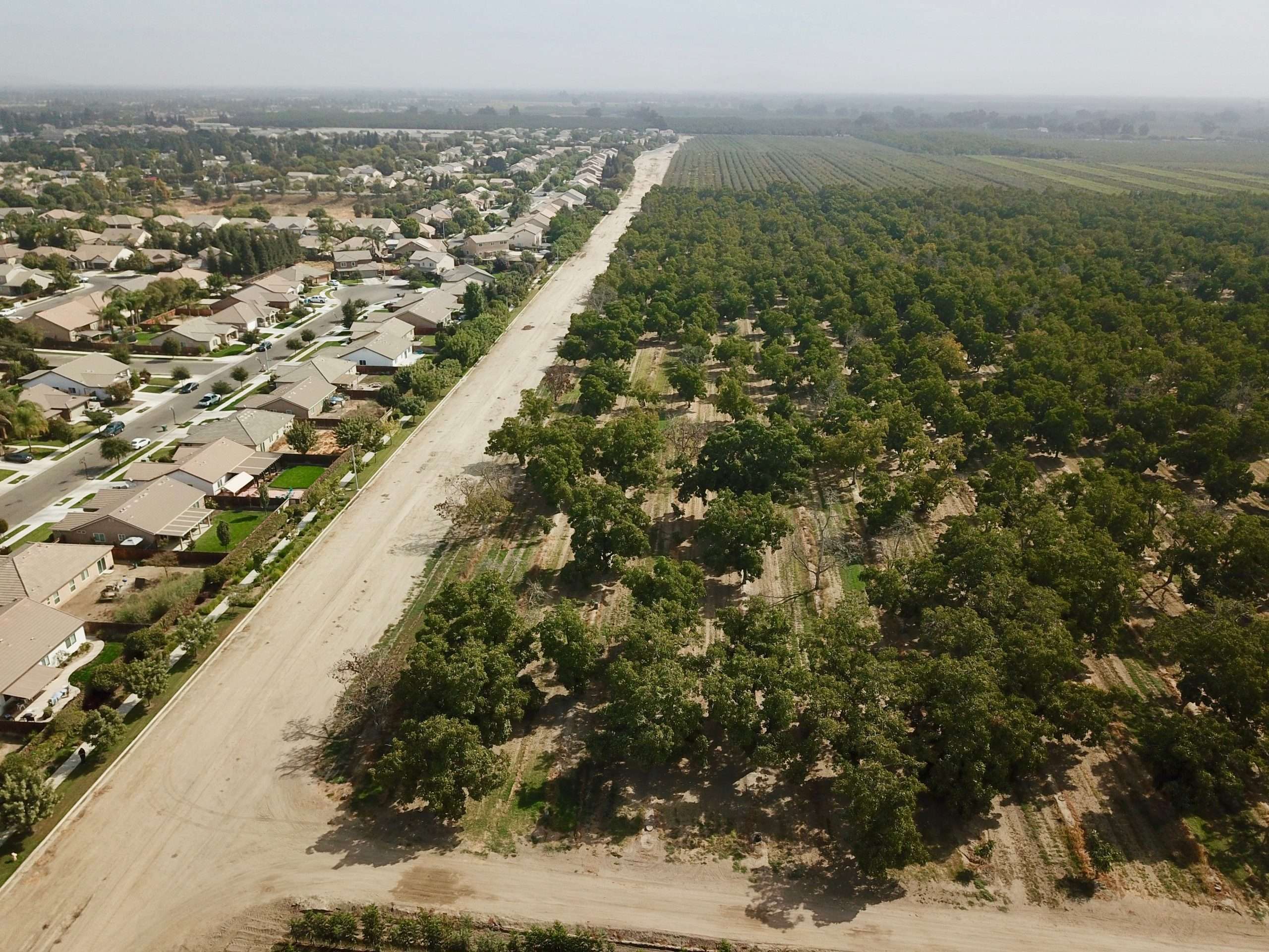 45 Ac. Walnuts, Visalia Schuil & Associates