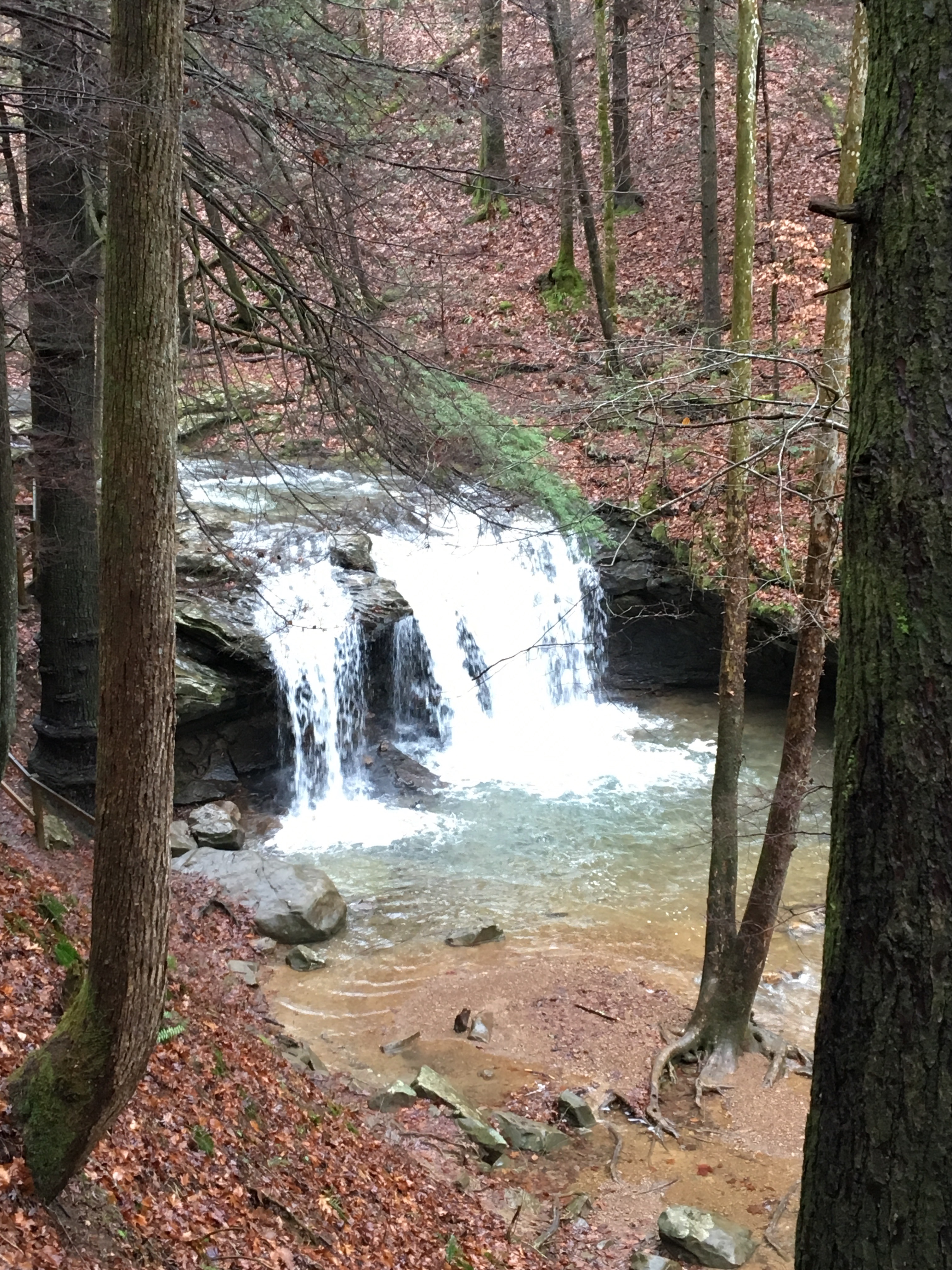 Frozen Head State Park Schultzapalooza