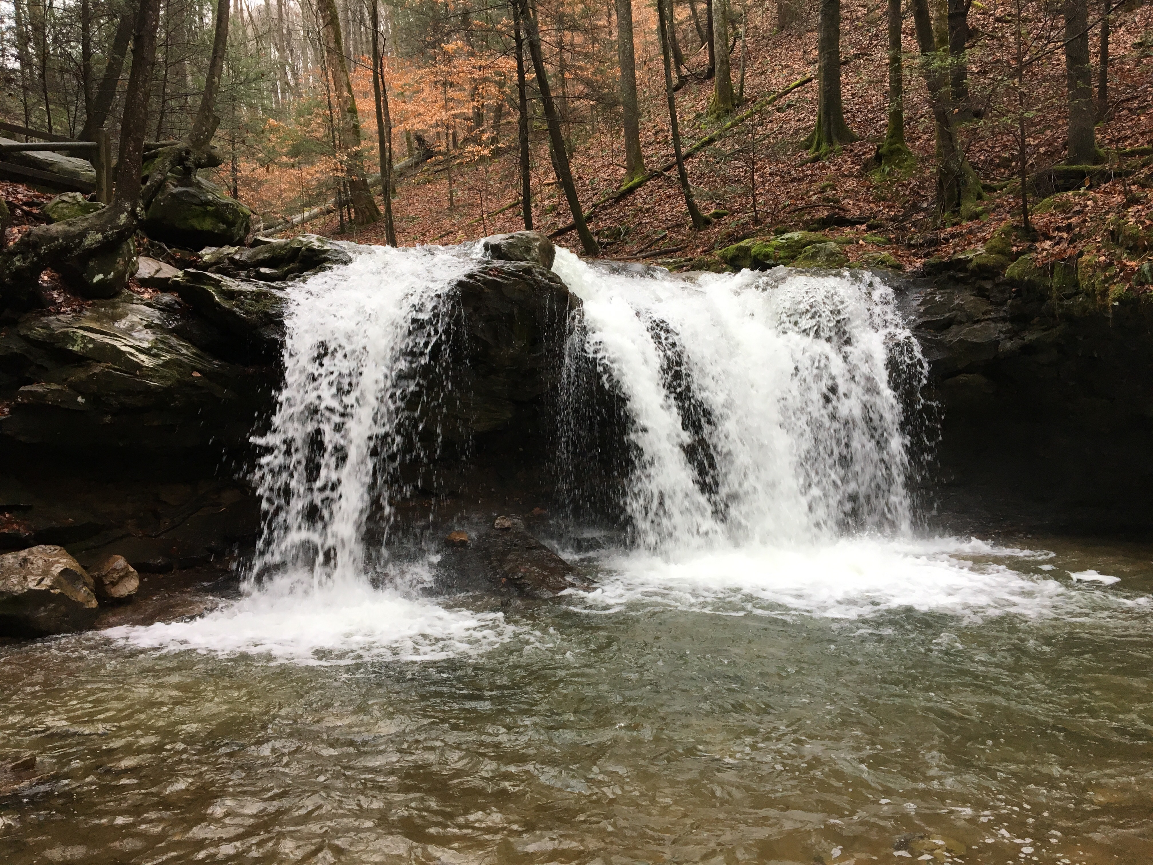 Frozen Head State Park Schultzapalooza