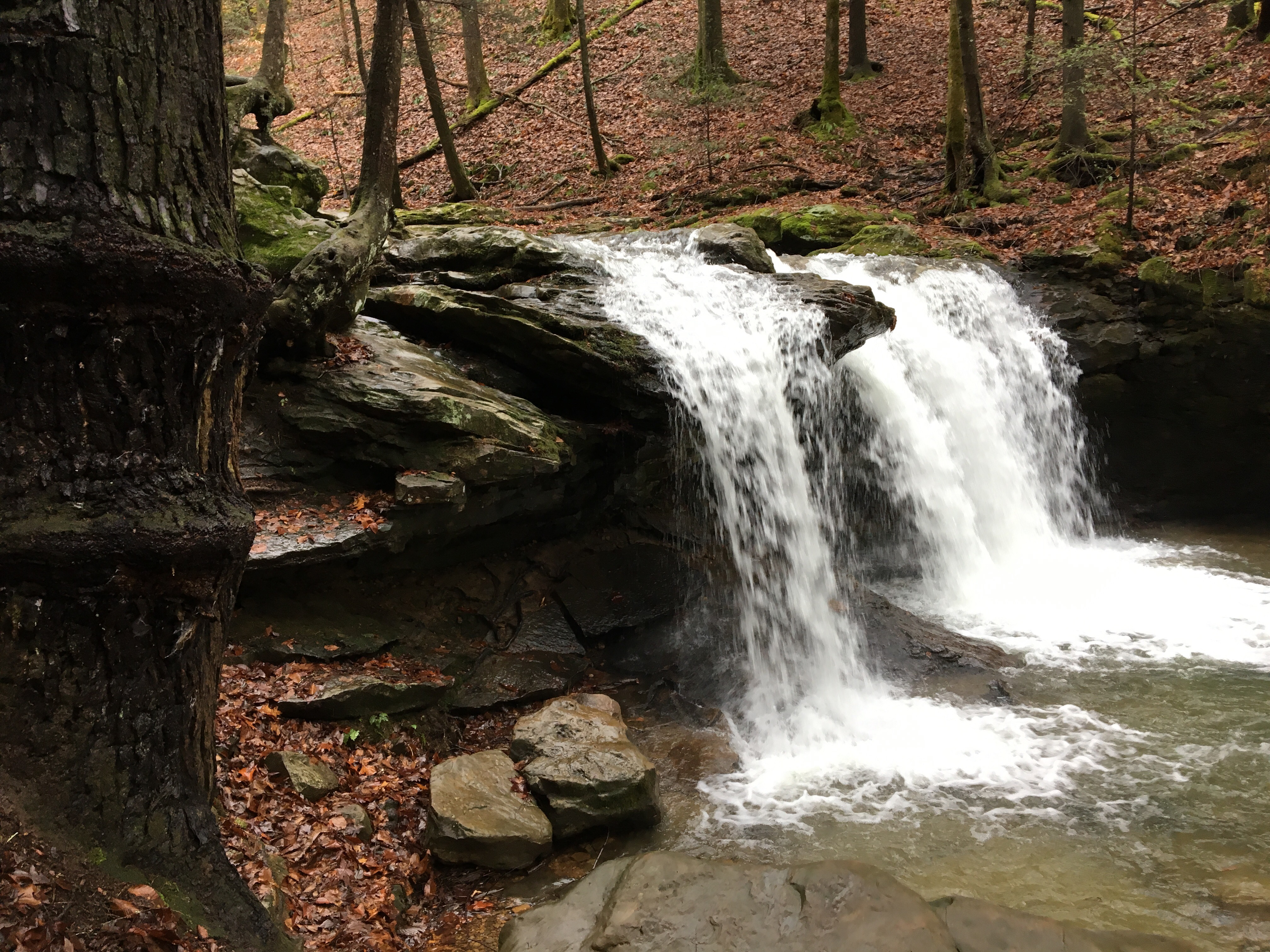 Frozen Head State Park Schultzapalooza