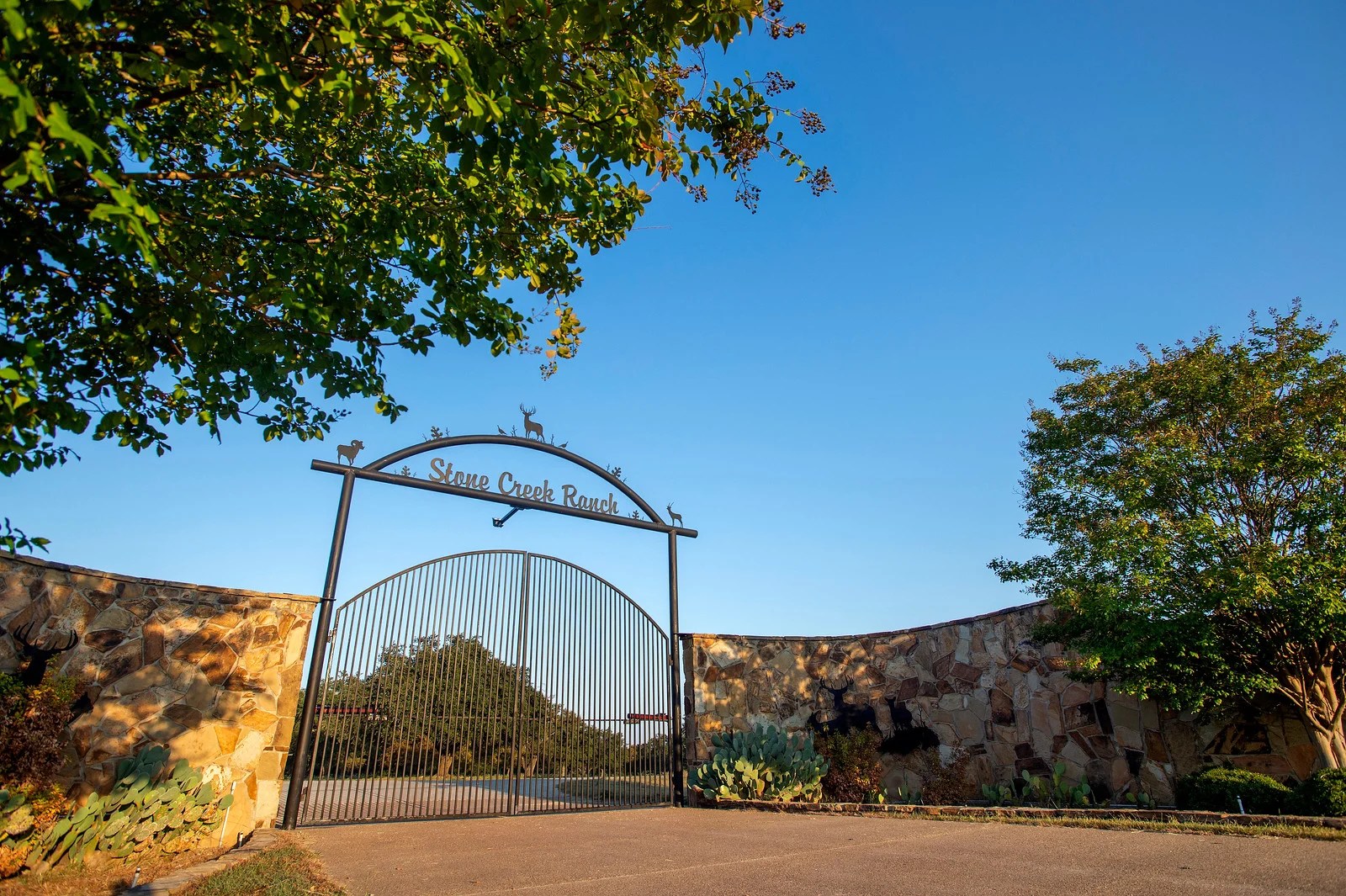 Contact Us Stone Creek Ranch