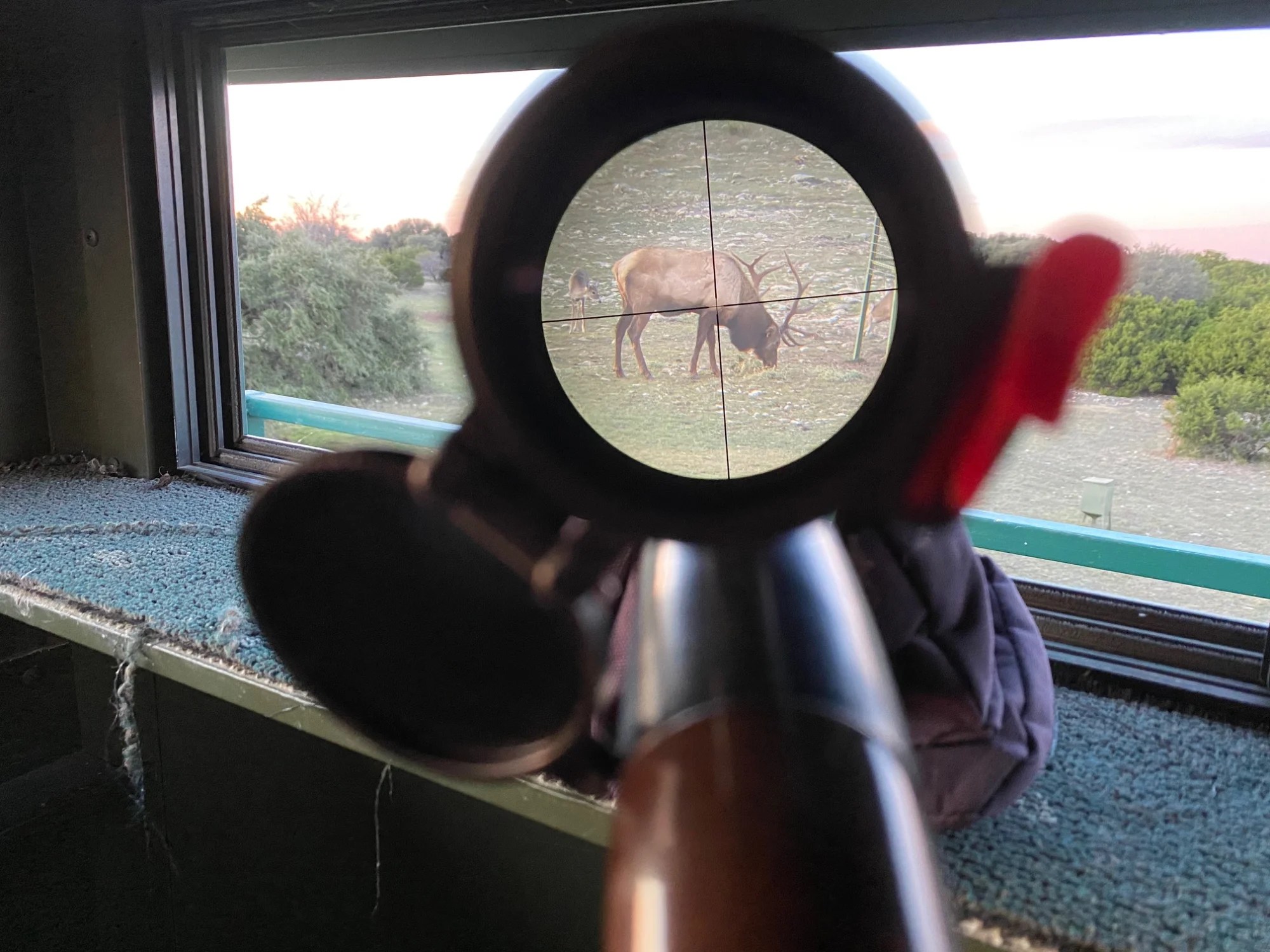 Is it expensive to start hunting?