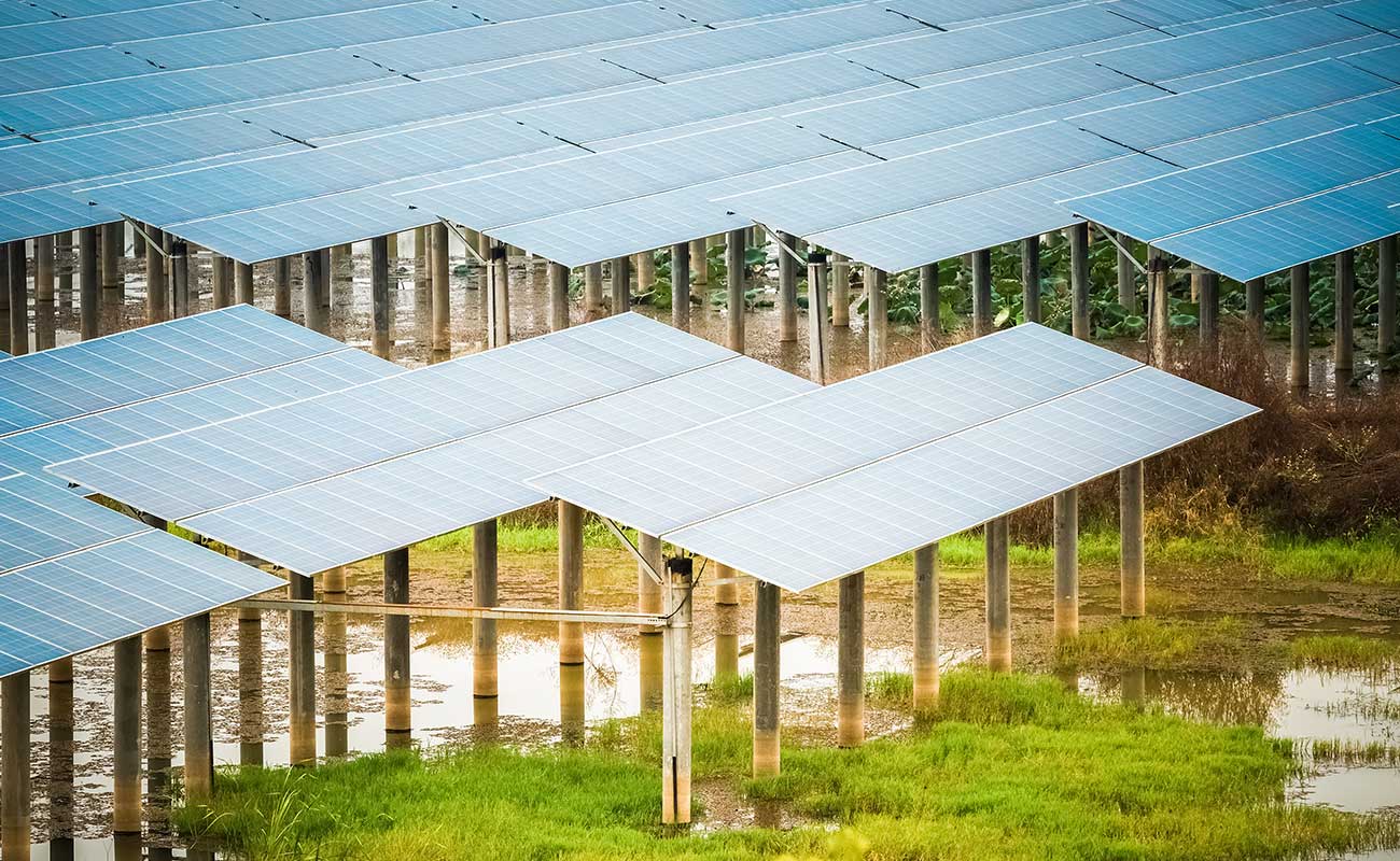 The Prime Color Of The World Schwartz Homes