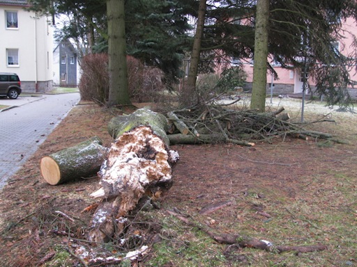 Baum umgefallen SchwarzenbergBlog