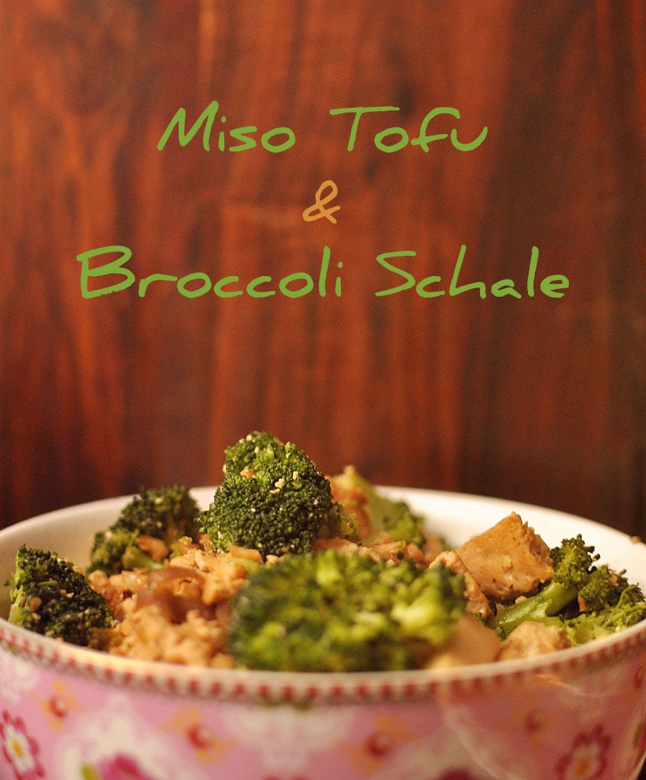 Comfort Food Miso Tofu & Broccoli Schale Schwatz Katz
