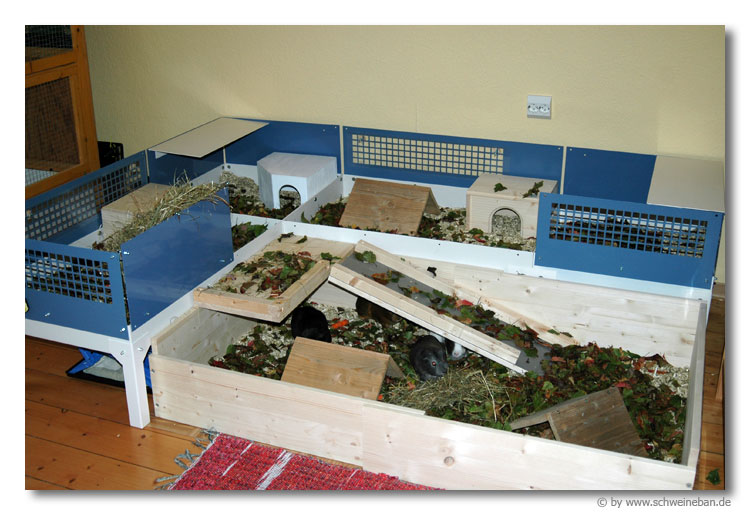 Käfig/Gehege Schweineban.de Meerschweinchen und mehr