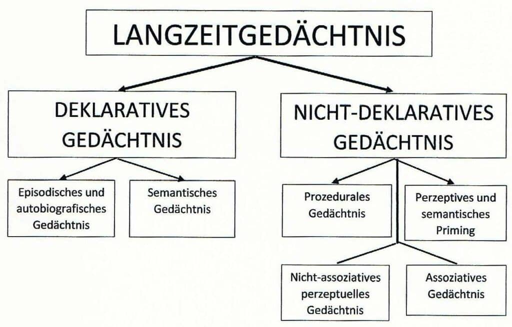 Gedächtnis, deklaratives SWIMLEX Das Lexikon des