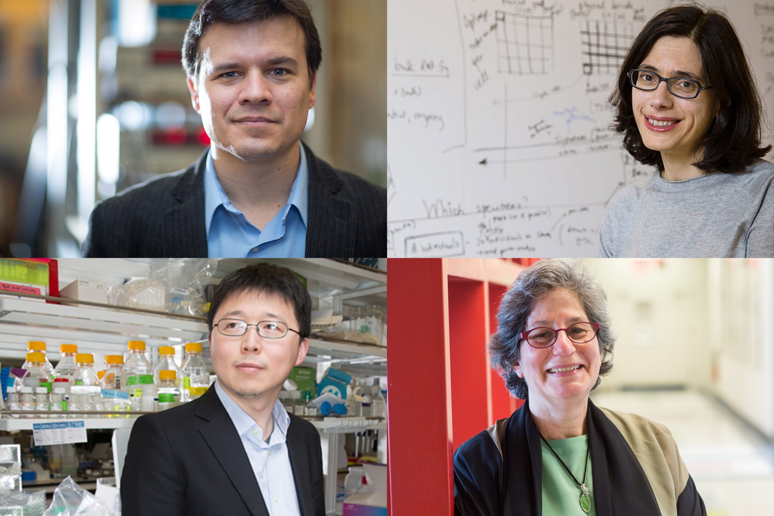 Four MIT scientists honored with 2021 National Academy of Sciences
