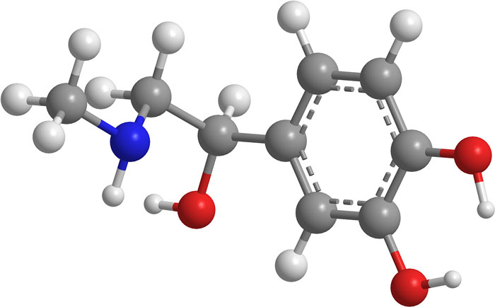 Organic Chemistry [Basics + Importance + Facts] Science4Fun