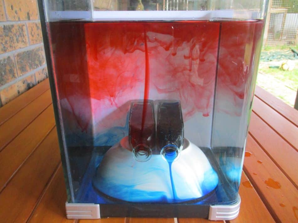 Does Hot Water Rise? 3 Cool Science Activities To Try At Home Science Antics