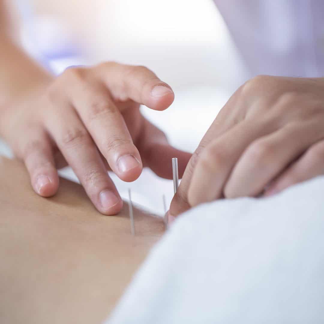 What You Need to Know About TCM in Singapore Science Arts