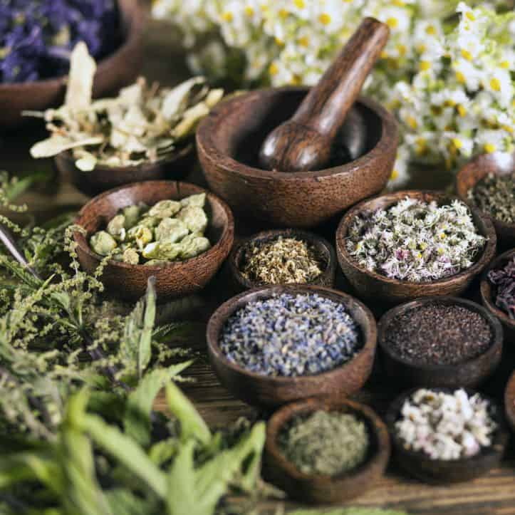 What You Need to Know About TCM in Singapore Science Arts