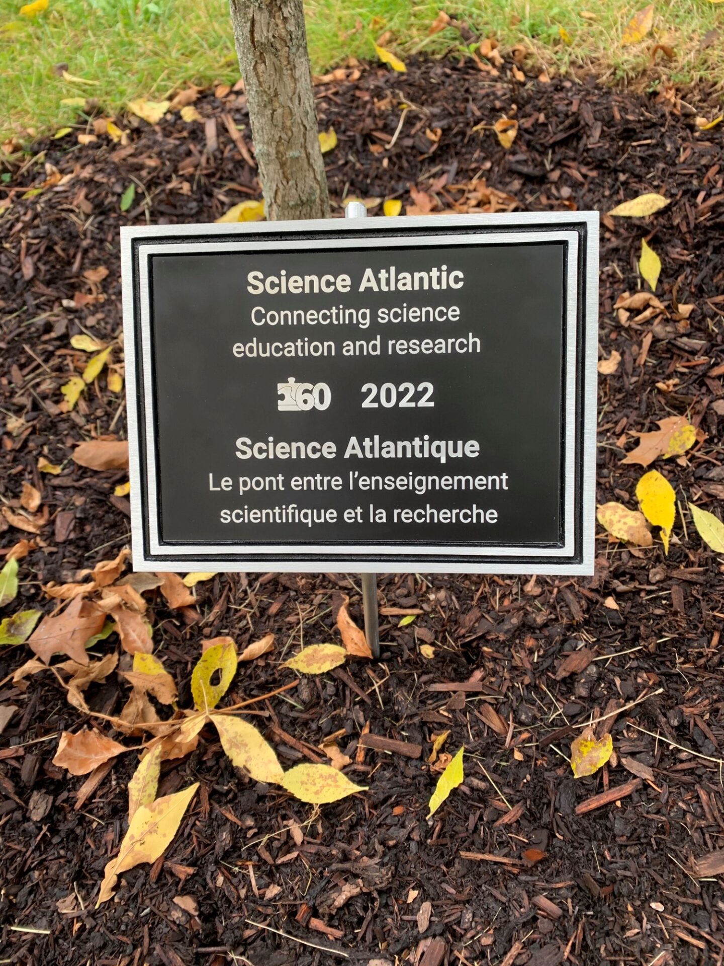 Gingko Tree Dedicated at Dalhousie Agriculture Campus Science Atlantic