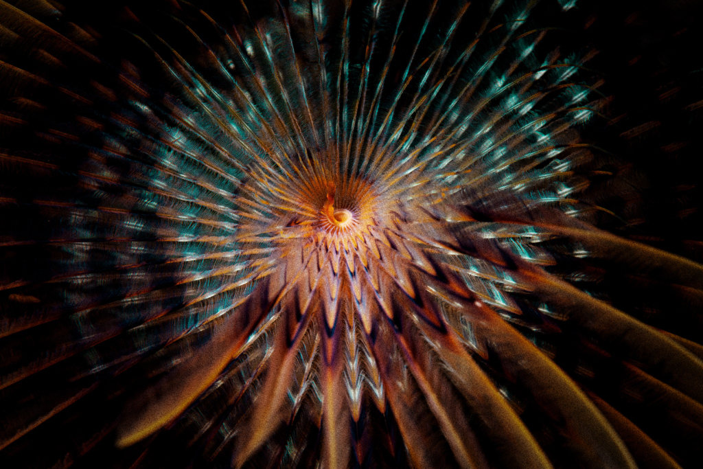 Cities sciencebased targets for nature Science Based Targets Network