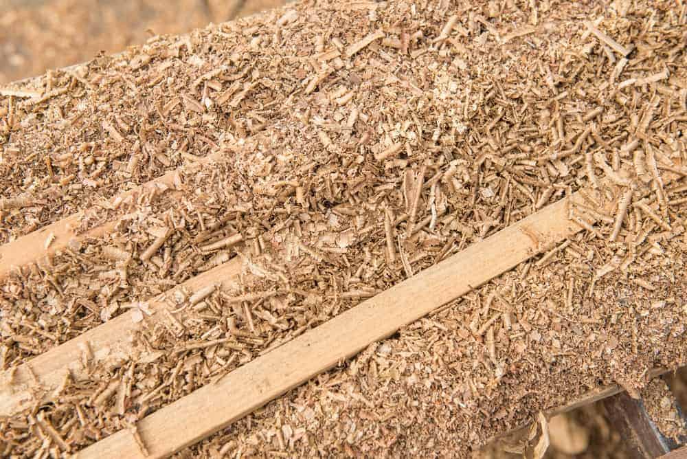Researchers able to turn sawdust into gasoline