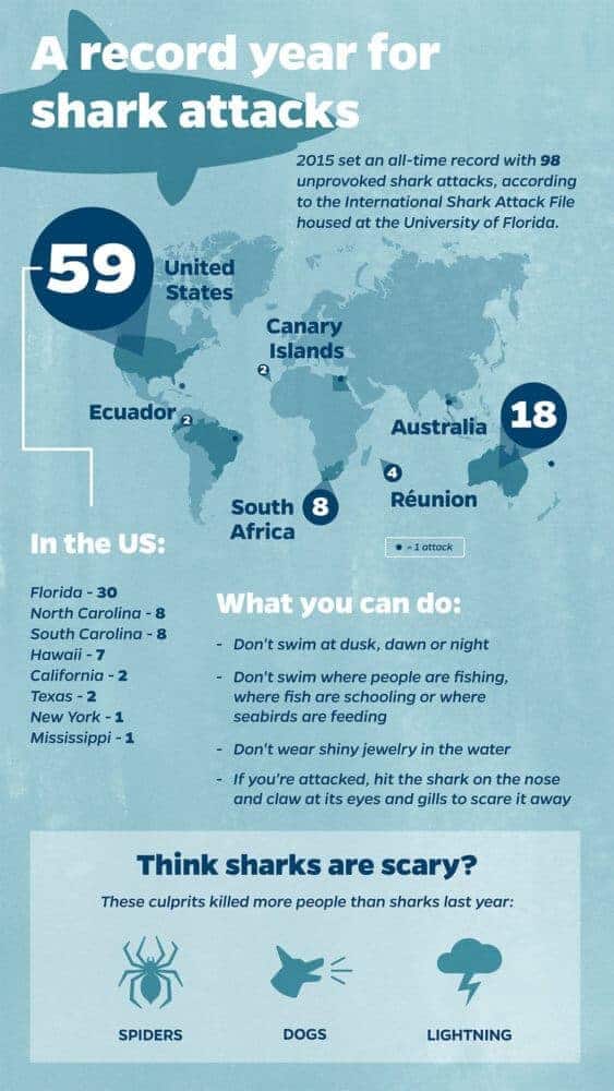 2015 was the worst year on record for shark attacks