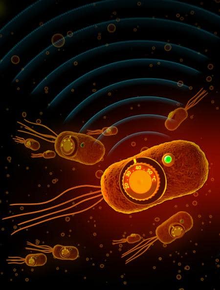 mshapiro_bioswitch-news-web