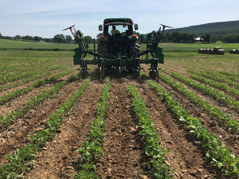 Notill production farmers can cut herbicide use, control weeds