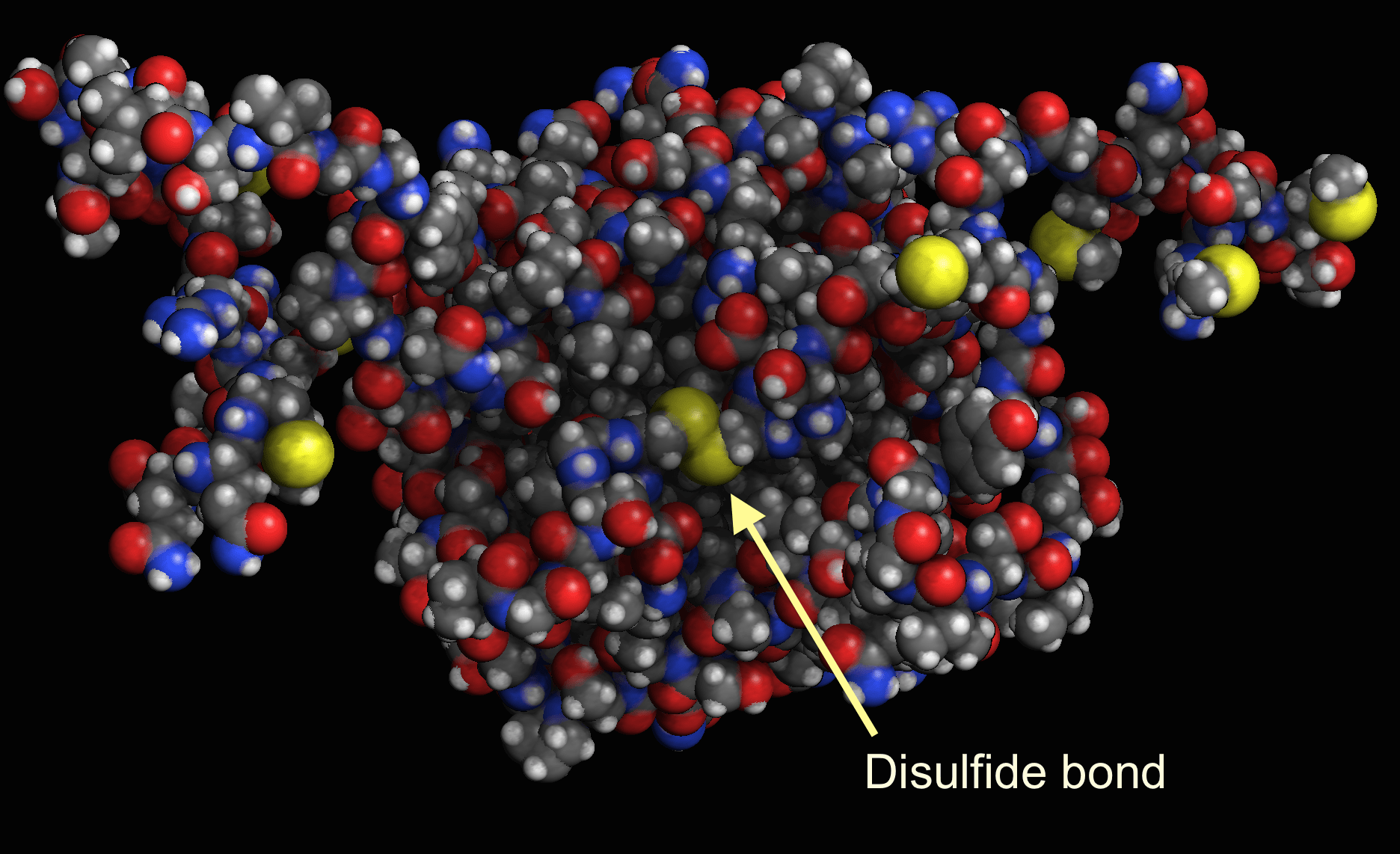 Along came a spider ScienceBlogs
