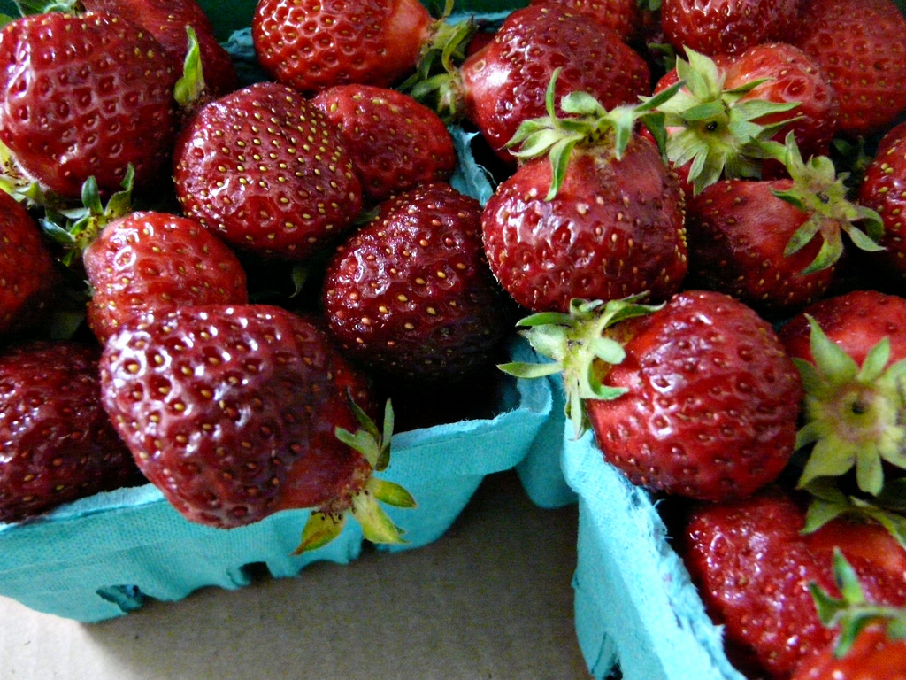 Weekend Diversion The Best Secret of Oregon's Summer ScienceBlogs