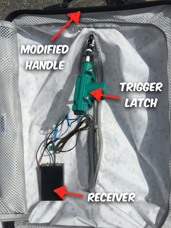 Science Bob on Nicky Ricky Dicky and Dawn