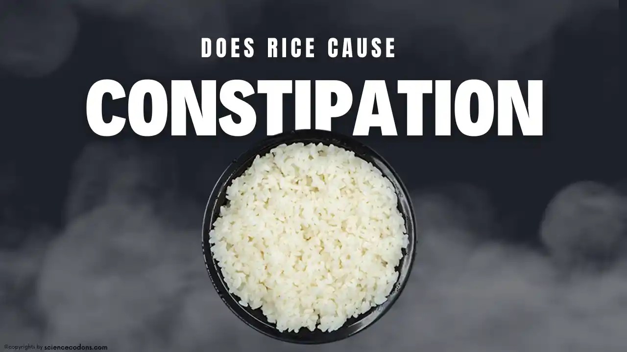 Does rice cause constipation? 2024 [based on articles] ScienceCodons