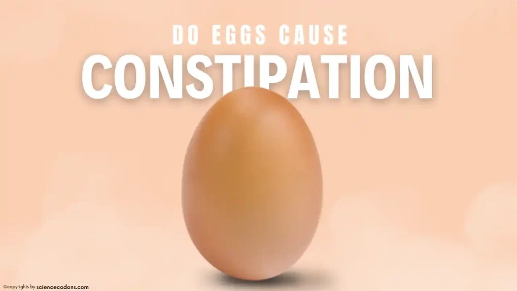 Do Eggs Cause Constipation? 2024 ScienceCodons