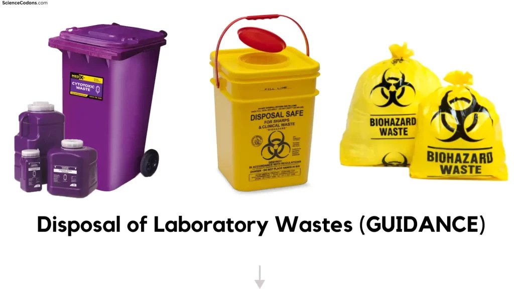 What are the methods of disposal of laboratory waste? ScienceCodons