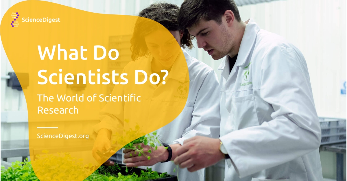 What Do Scientists Do? The World of Scientific Research