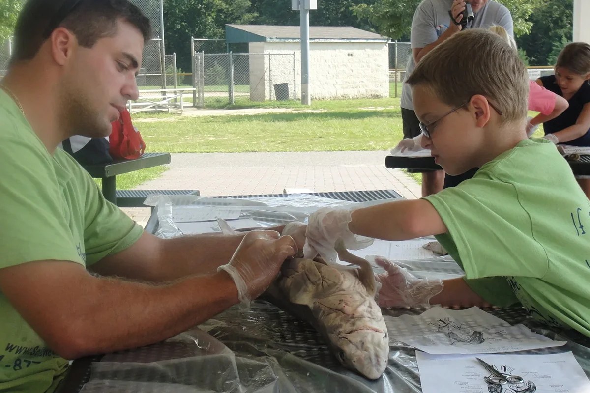 STEM Camp Programs Science Explorers