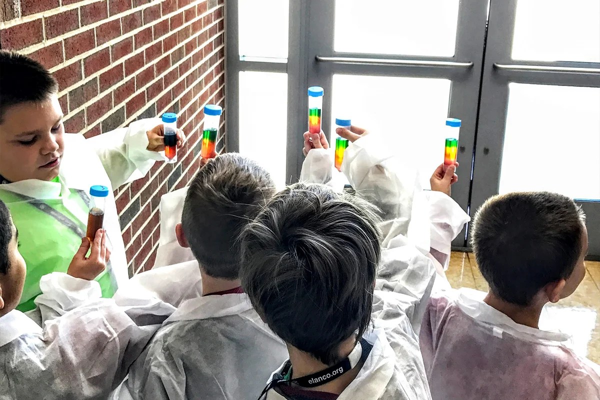 STEM Camp Programs Science Explorers