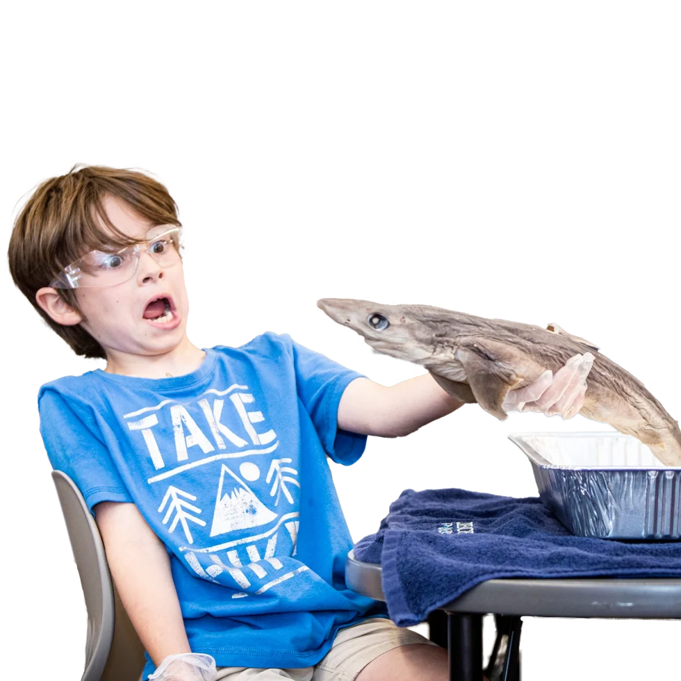 STEM Club Programs Science Explorers