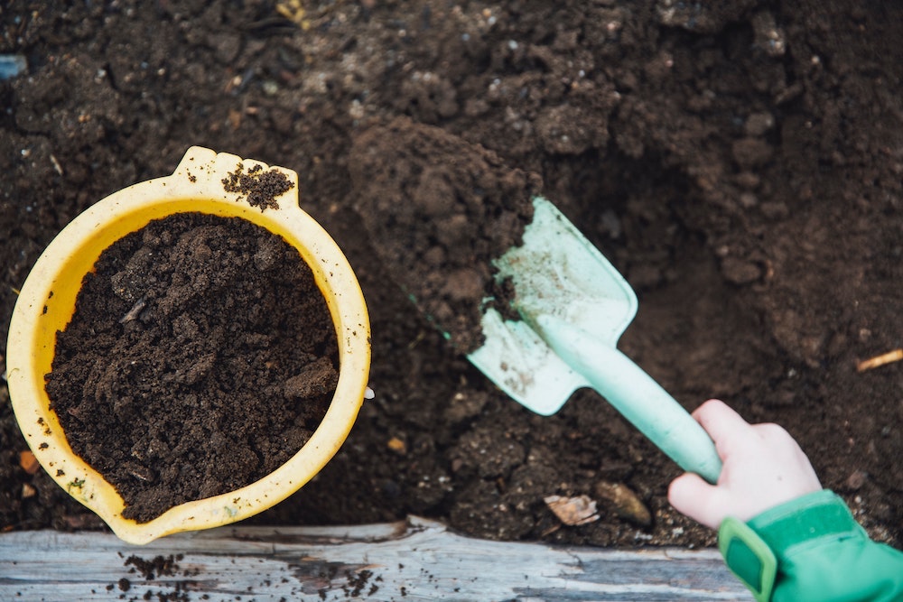 Food Waste & Composting in Science for