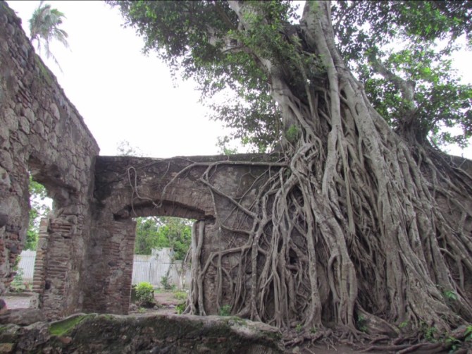 Olmec ruins