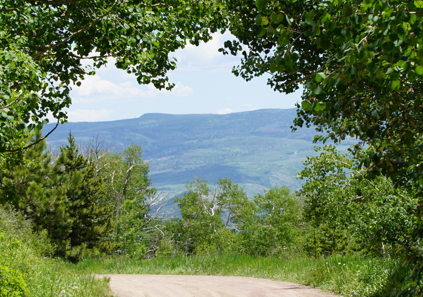 Science Hill site Design and Software Engineering