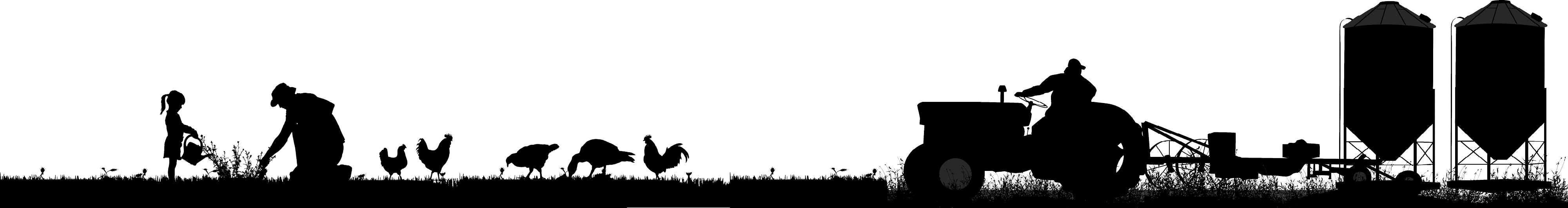 Science Hill Milling Company & Farm Supply Home Page