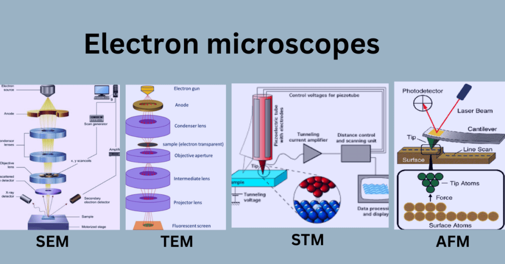 Microscopy Definition, Types, Uses