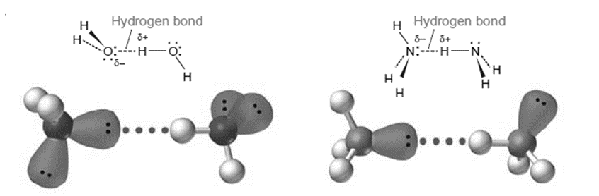 Intermolecular Forces in Liquid: 3 Important Types