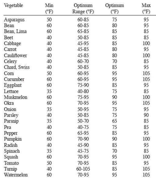 Five ways to increase your seed germination rates Science in Hydroponics