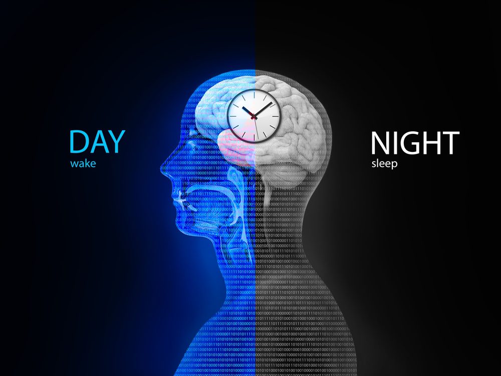 What Is the Biological Clock? 8 Things You Need to Know! Science in