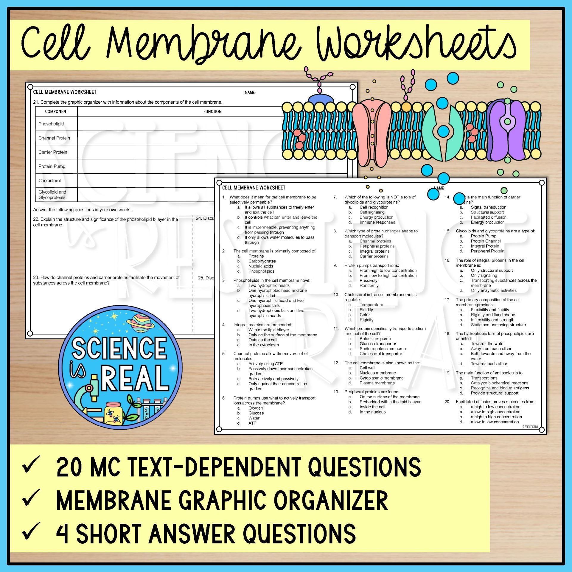 Cell Membrane Color By Number Worksheets Science is Real Education