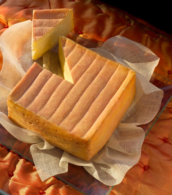 Ça pue des pieds ! Mais pourquoi ? ScienceJunior.fr