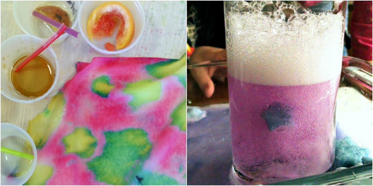 7 Red Cabbage Indicator Science Experiments The Science Kiddo