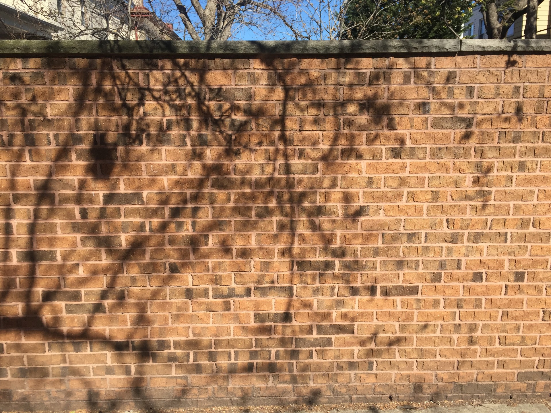 Girard Estates Wall — Science Leadership Academy Center City