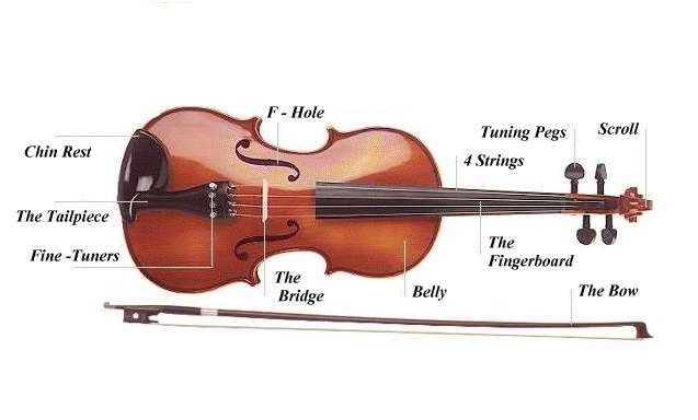 Violin Parts Diagram