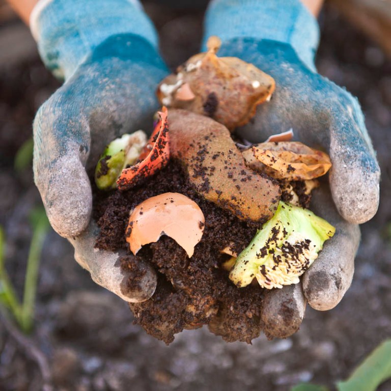 Learn about Composting Day Sciencelens
