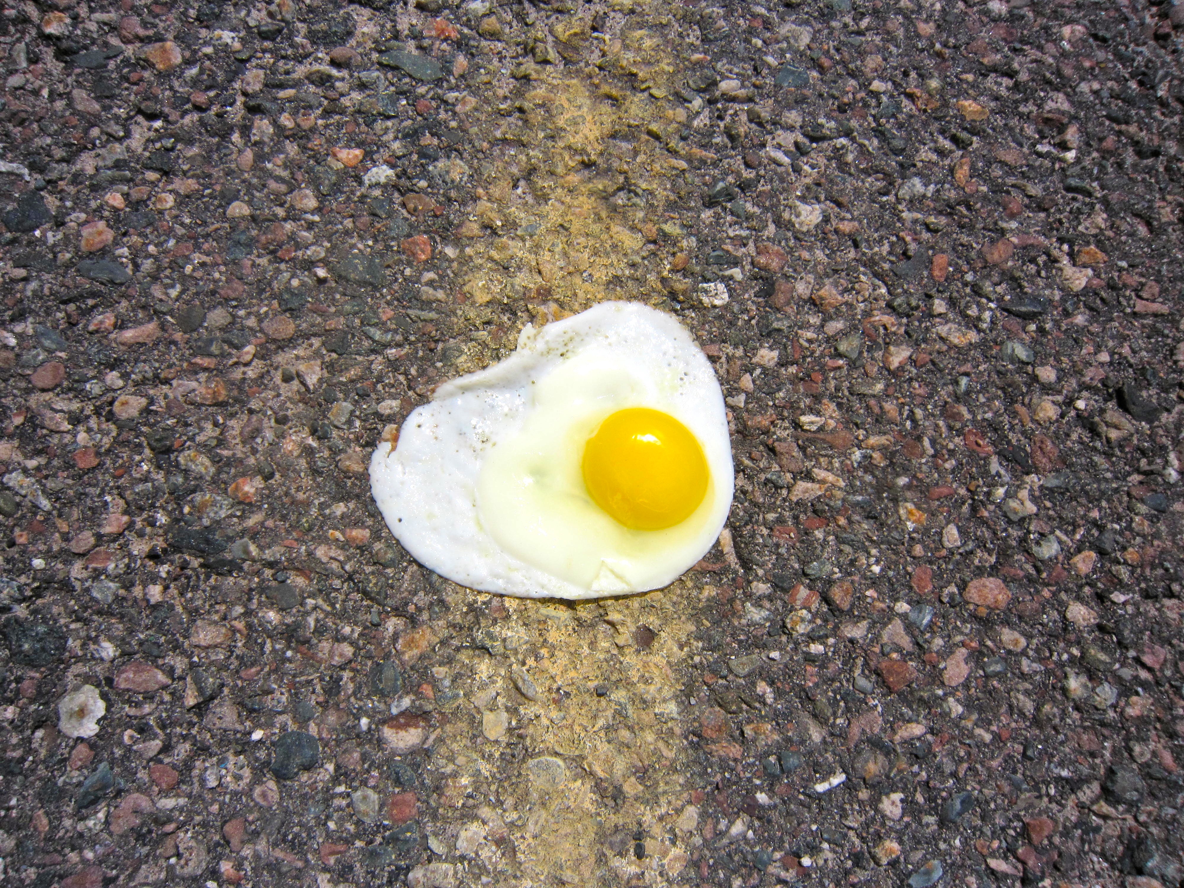 Hot pavement, cool ideas » Scienceline