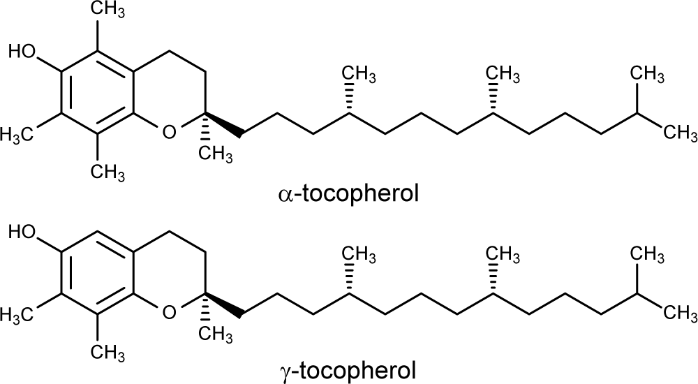 Vitamin E In Canola And Other Oils Found To Hurt Lungs